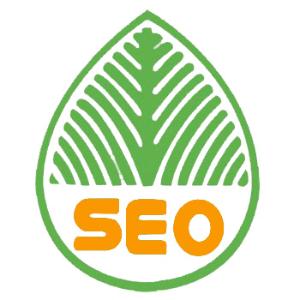 遂宁提升网站移动适配的注意事项
