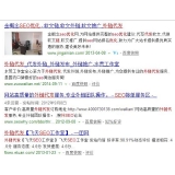 遂宁朱安安：SEO外链代发行业大揭密